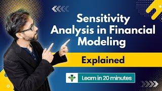 Master Sensitivity Analysis in Financial Modeling in 20 minutes!  (By ex-JPMorgan Analyst)