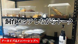 16:00〜メンテナンスしながらお話ししましょう🪲