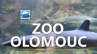 Zoo Olomouc, Czech Republic #TouchCzechia