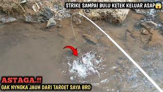 DI LUAR NURUL.!! NIAT MANCING IKAN CHANNA LIMBATA PANCING DI SAMBAR IKAN LELE || FULL STRIKE BRO