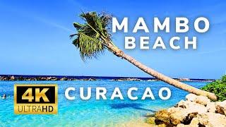 Curacao | 4K | Mambo Beach | Beach Walk | BeachLife