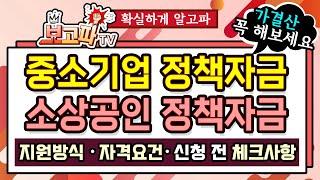 중소기업 정책자금, 소상공인 정책자금 정리 및 주요 체크 사항[보고파TV]
