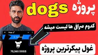 پروژه داگز|dogs چی هست کدوم صرافی ها لیست میشه