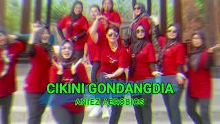 CIKINI GONDANGDIA - SENAM KREASI TERBARU - AEROBICS DANCE by ANIEZ AEROBICS