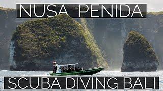 Diving NUSA PENIDA Island BALI