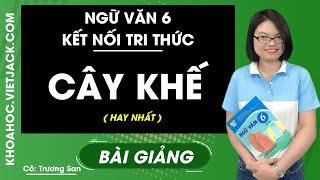 Cây khế - Ngữ Văn 6 - Kết nối tri thức - Cô Trương San (HAY NHẤT)