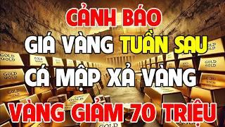 Phân Tích Xu Hướng Giá Vàng Tuần Sau 3-7/3/2025 | Cảnh Báo Cú Lừ Mua Vàng Từ Cá Mập Giá Vàng Sập
