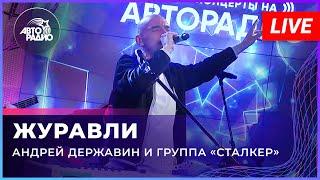 Андрей Державин - Журавли (Live'2022 Авторадио)