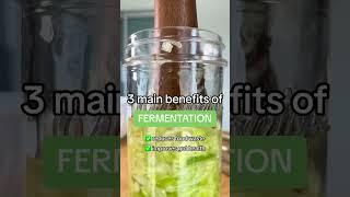 3 main benefits of FERMENTATION #shorts