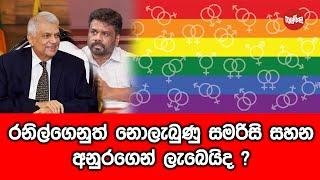 රනිල්ගෙන් නොලැබුණු සමරිසි අයිතිය අනුරගෙන් ලැබෙයිද?