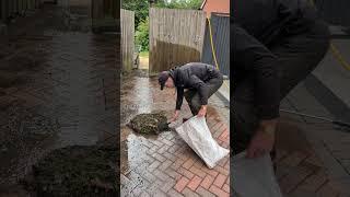  HOW did the weeds get this bad⁉️ #pressure #jet #washing #cleaning #driveway #satisfying #fyp