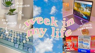 A week in my life (new diffuser + ubotie keyboard, finals week, making dumplings, shopping)