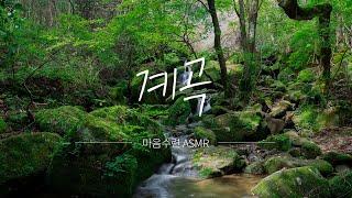 ㅣ마음수련 ASMRㅣ 명상할 때 좋은 소리 #3. 계곡