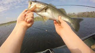 Fishing for HUGE FLORIDA BASS with Pro Fisherman, Al Laman