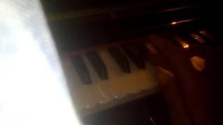 Jeena Jeena play harmonium  vipul Rai