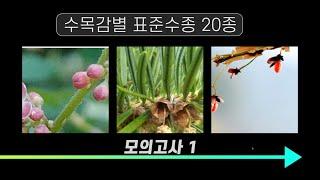 조경기능사 실기 수목감별 표준수종 20종 모의고사 1