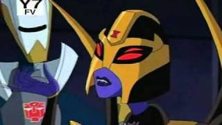 Blackarachnia's Best Moments