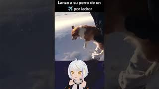 Lanza a Su Perro de un Avión