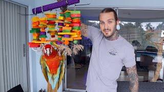 Making Bird Toys For my macaws birthday! Toruk is 2 Today! | Tyler Nolan