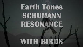 PURE EarthTones Schumann Resonance with BIRDS