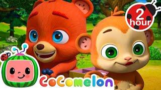 Yummy Yummy Lunch Song  | Cocomelon Animal Time - Nursery Rhymes