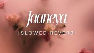 Jaaneya Slowed-Reverb | New Romantic Song