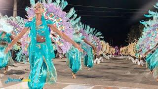 Platinum Knights 2024 [6x Champs] New Years Day Junkanoo