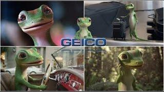 ️ Best wwe Commercials - Top 15 The Best Geico Gecko Most Funny Journey Commercials