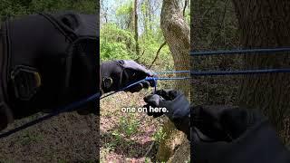 How to tie a Tautline Hitch