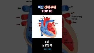 장기매매 조심! 비싼 신체 부위 TOP 10