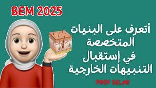 الإرتباط التشريحي للاتصال العصبي ،Bem 2025، علوم الطبيعة و الحياة.