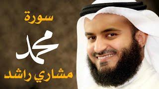 سورة محمد ﷺ مشاري راشد العفاسي