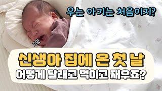 신생아 퇴원 후 집에 온 첫 날 ㅣ24시간 신생아 브이로그ㅣ니큐 퇴원