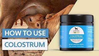 How To Use Colostrum