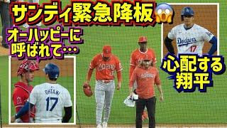 緊急降板‼️大谷との対決でギアを上げ過ぎたか⁈翔平vsサンディの全投球【現地映像】6/21vsエンゼルスShoheiOhtani Dodgers