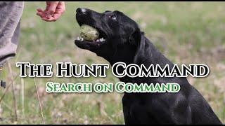 The Hunt Command: Teaching Dog to Search On Command