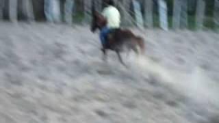 BAMBINO TREINO PARQUE SÃO LÁZARO-SE