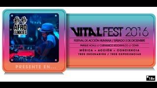 Afro junkies - Vital Fest 2016