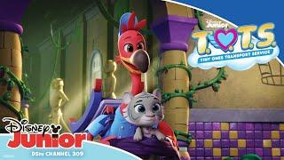 It's toothbrushing time! | ‍‍ T.O.T.S | Disney Junior Africa