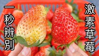 Hormone strawberry