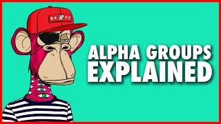 What Are NFT Alpha Groups?