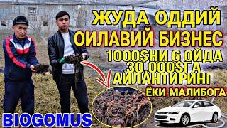 1000$ TIKIB 1 YILDA 30.000$ DAROMADLI BIZNES. BIOGOMUS BIZNESI // БИОГУМУС БИЗНЕСИ