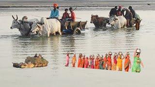 Roads In India Are Like This [] This Is How People In India Live Their Lives [] Indian Lifestyle