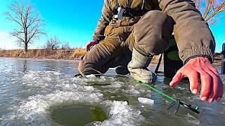 HE WON'T LET YOU SIT DOWN - A CONVEYOR BELT OF BITES!!! WINTER FISHING FOR CRUCIAN CARP