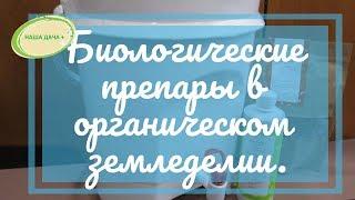 Применение биологических препаратов в органическом земледелии. Часть 1. Корнюшина Людмила