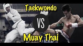 Muay Thai Champion vs. Taekwondo Black Belt | Lawrence Kenshin