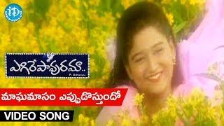 Egire Pavurama Songs || Maagha Maasam Video Song || Srikanth | Laila | JD Chakravarthy