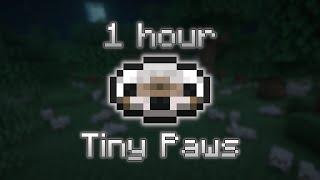 Tiny Paws (1 hour)