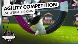 Incredible Dog Challenge: Small/Medium Dog Agility Western Regional | NBC Sports