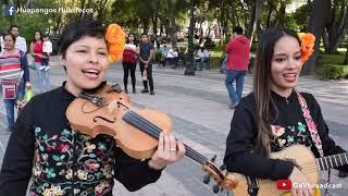 Trío Perlitas Queretanas - El Querreque, El Aguanieve y El Caballito